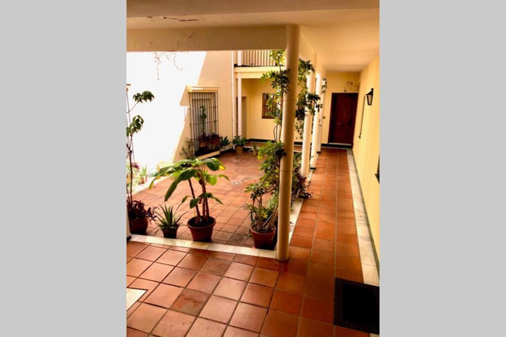 Gatu Villa Palma, Aire Acc Y Confort En El Centro Historico, " Preferente Mayores De 25 Anos Y Familias " El Puerto de Santa María Esterno foto